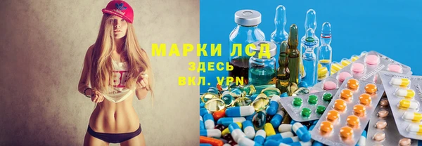 кокс Баксан