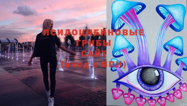 кокс Баксан